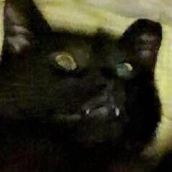 Meet your Posher, Kiara/Kieran - Picture 7 of 7